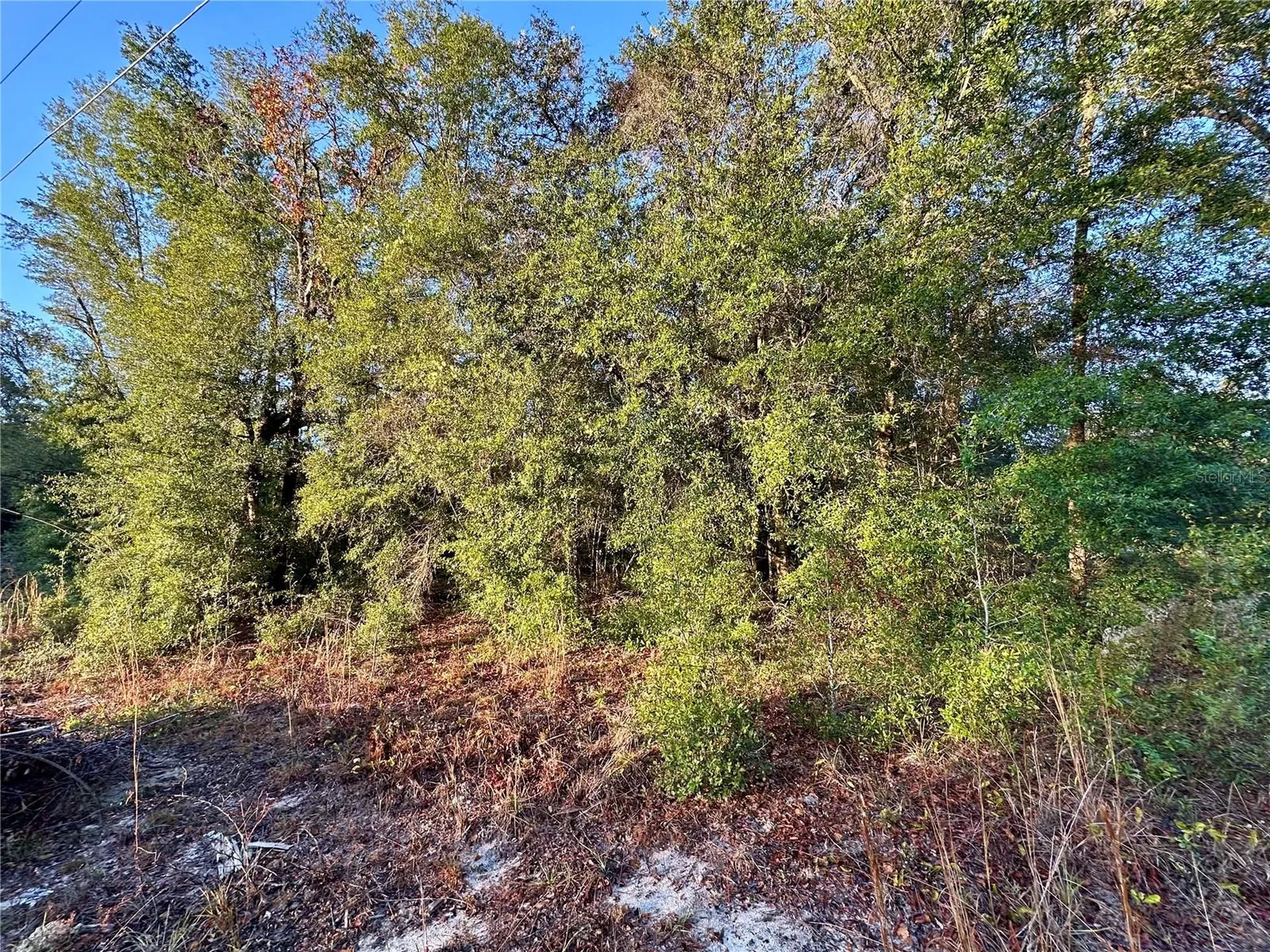 NW 16th Place Ocala FL 34482