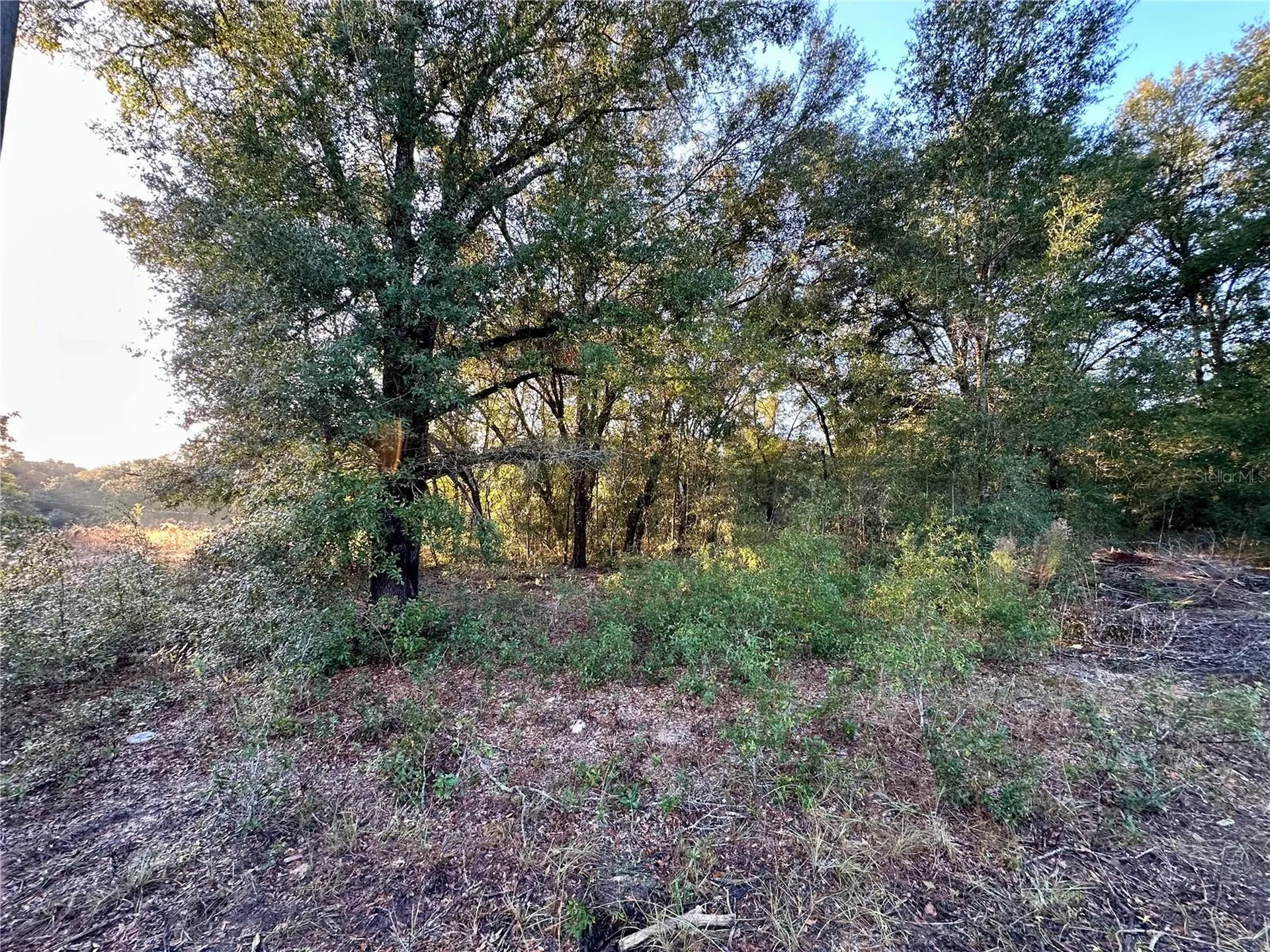 NW 16th Place Ocala FL 34482