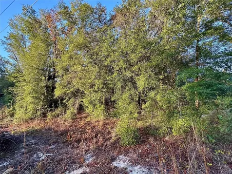 NW 16th Place Ocala FL 34482