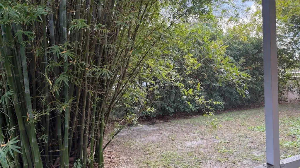 18835 Maisons Drive Lutz FL 33558