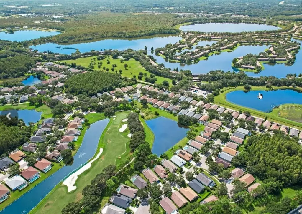 18835 Maisons Drive Lutz FL 33558
