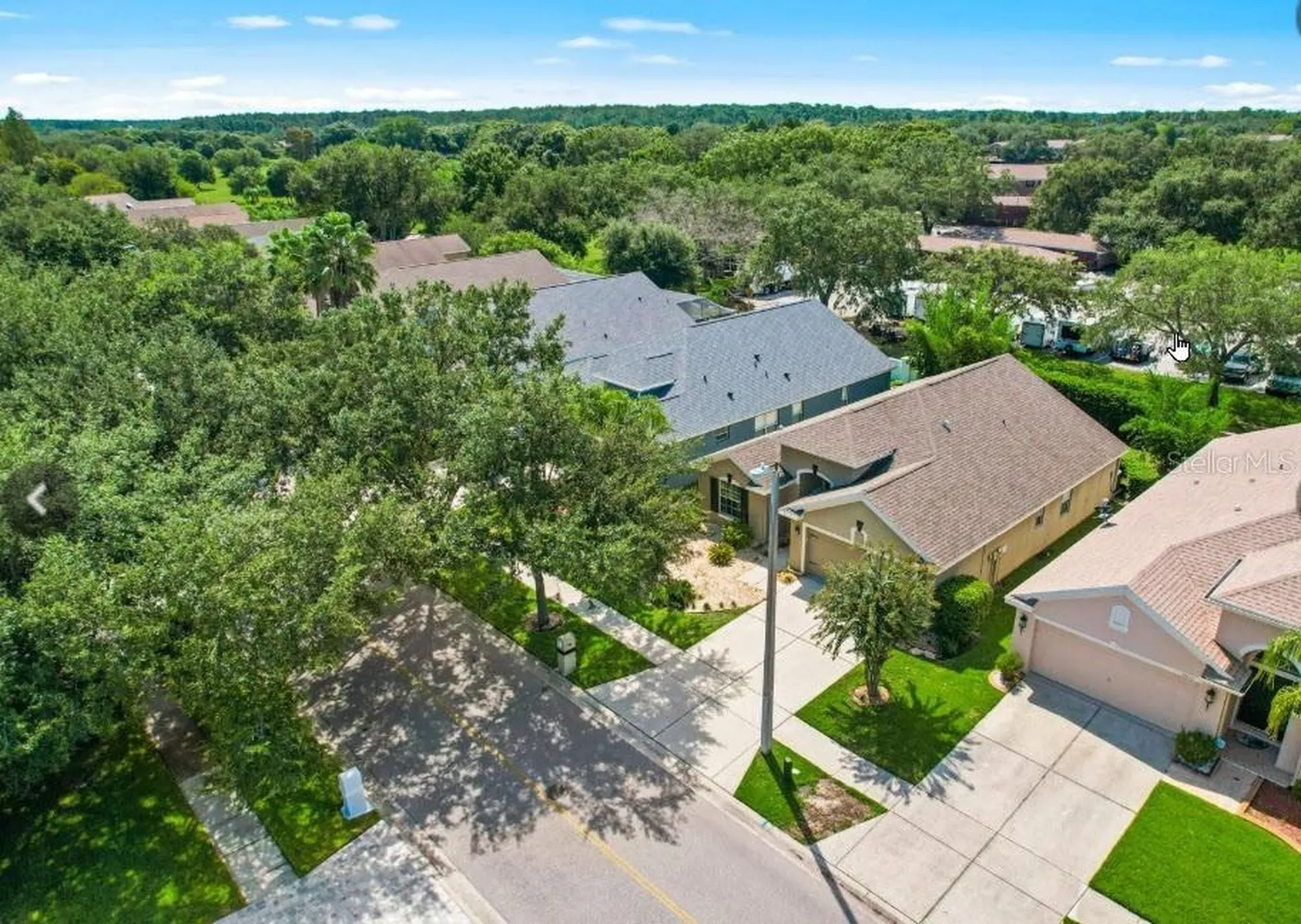 18835 Maisons Drive Lutz FL 33558