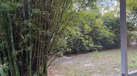 18835 Maisons Drive Lutz FL 33558