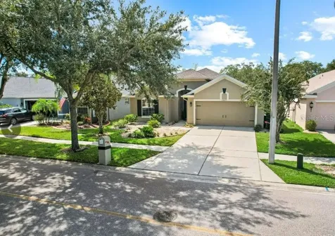 18835 Maisons Drive Lutz FL 33558