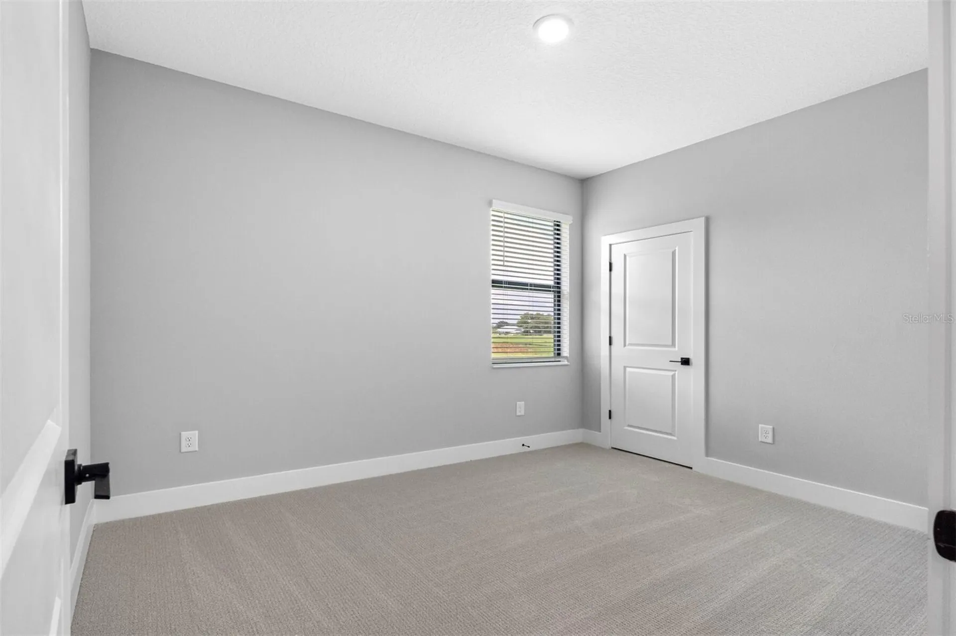 13498 Lake Gallagher Drive Dover FL 33527