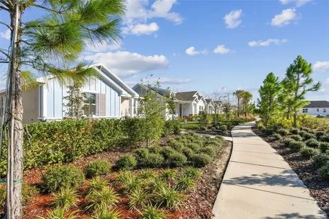28748 Rambutan Drive Wesley Chapel FL 33543