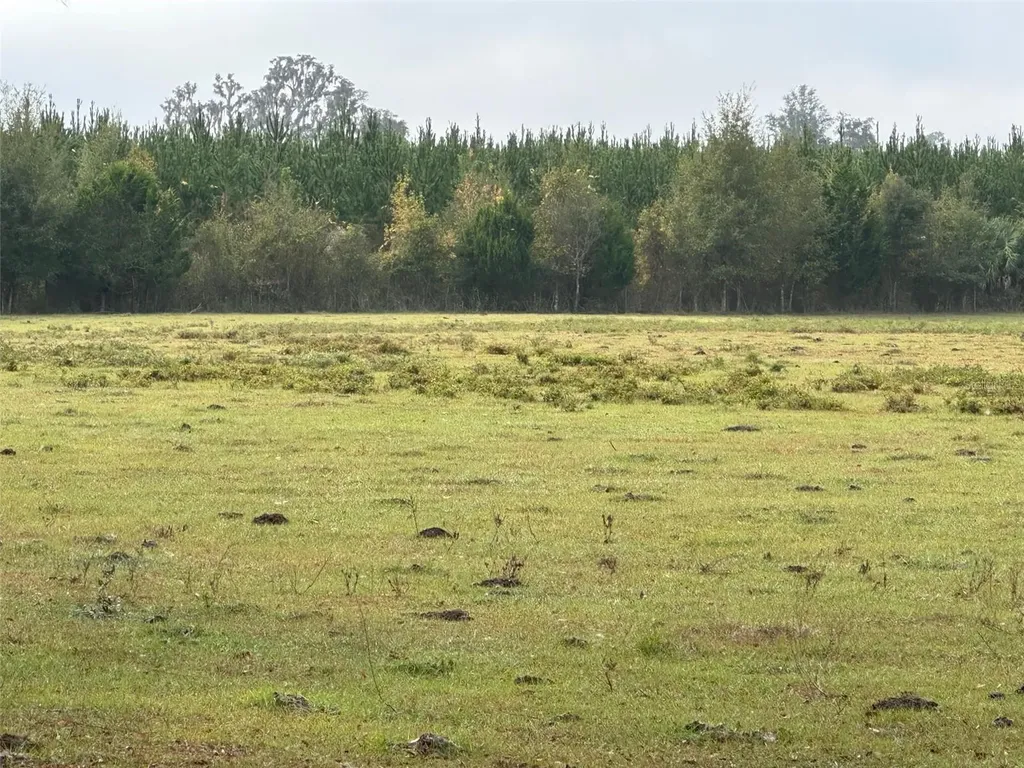 Tba NW 160th Avenue Ocala FL 34482