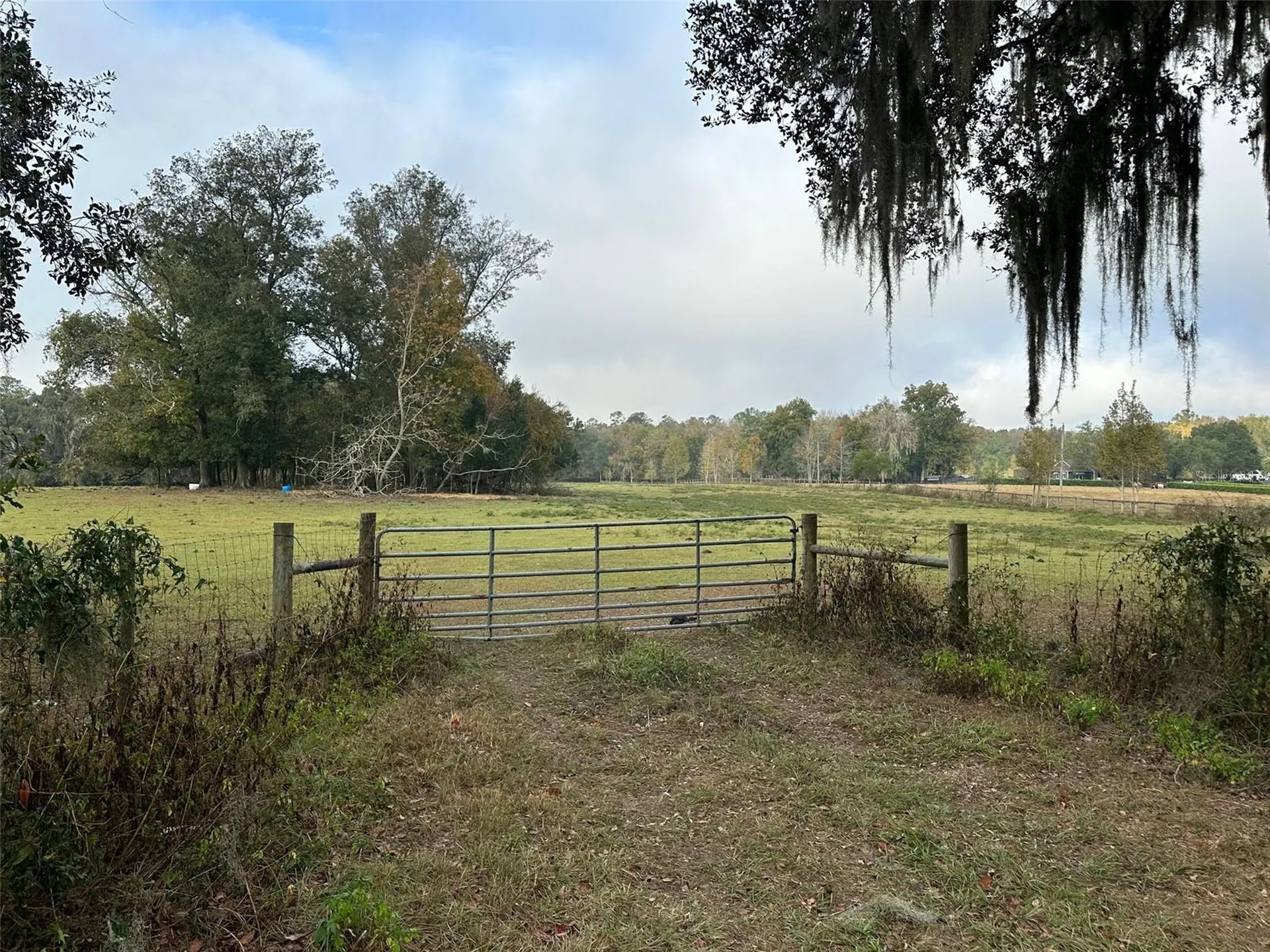 Tba NW 160th Avenue Ocala FL 34482