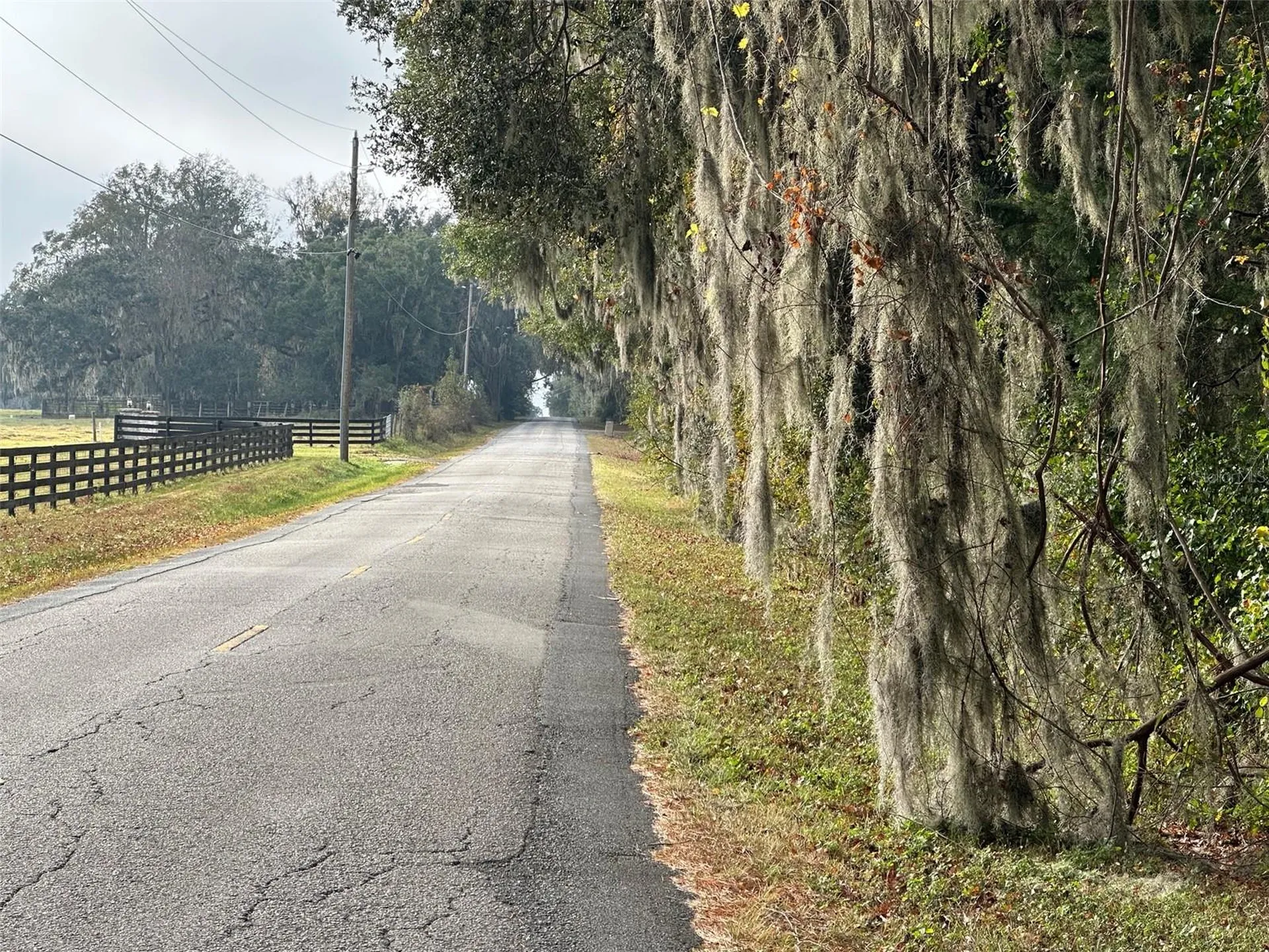 Tba NW 160th Avenue Ocala FL 34482