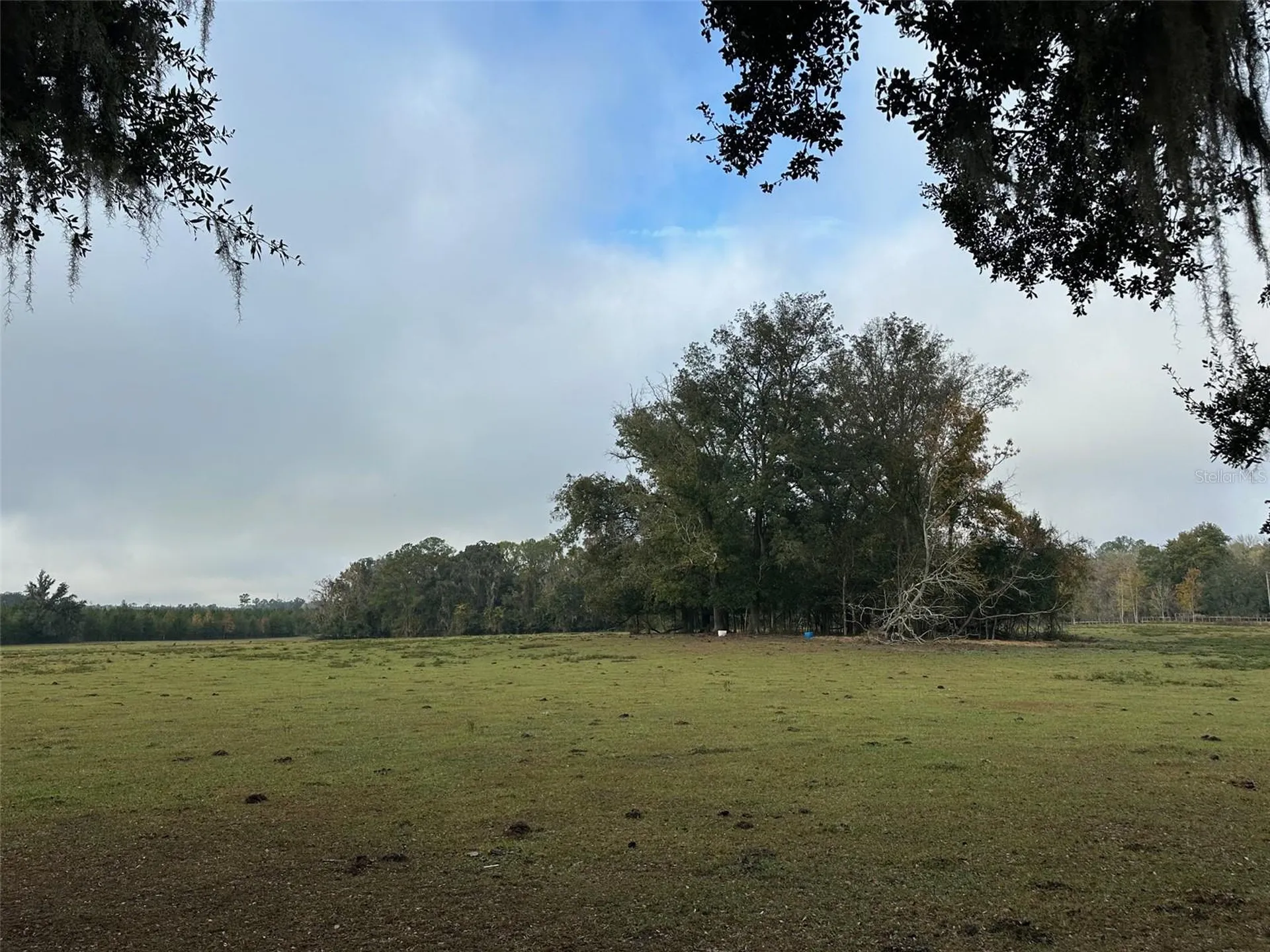 Tba NW 160th Avenue Ocala FL 34482