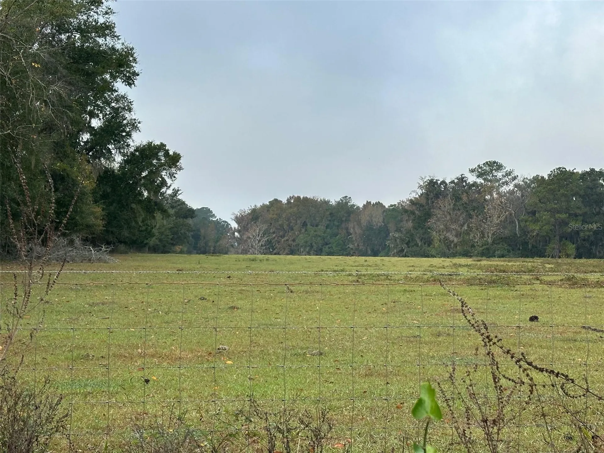 Tba NW 160th Avenue Ocala FL 34482