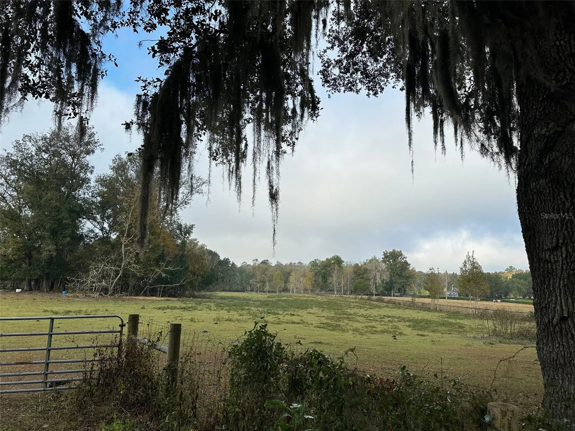 Tba NW 160th Avenue Ocala FL 34482