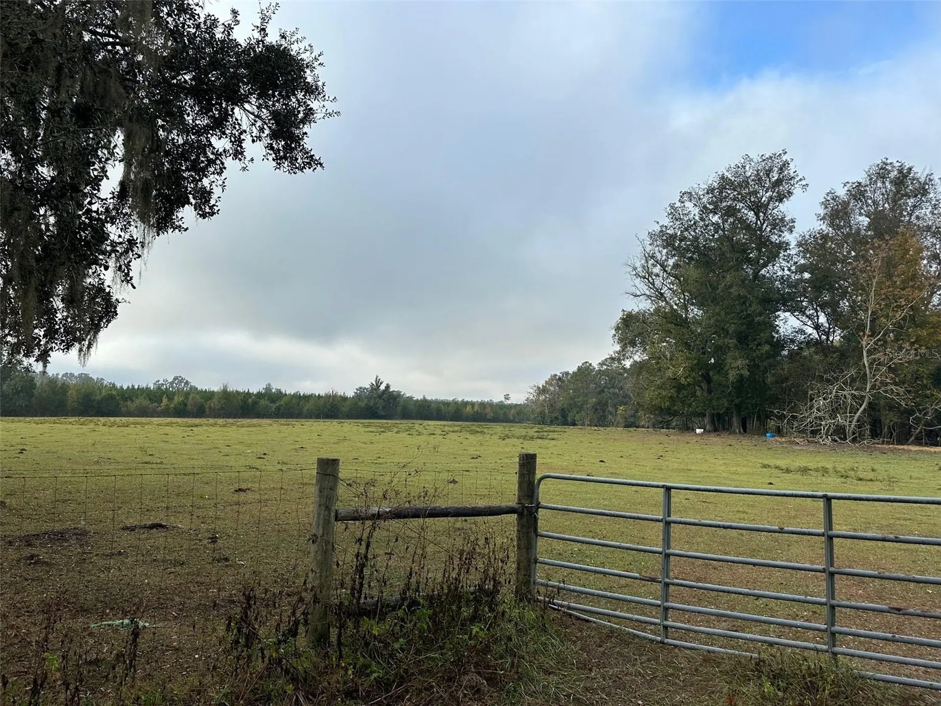 Tba NW 160th Avenue Ocala FL 34482