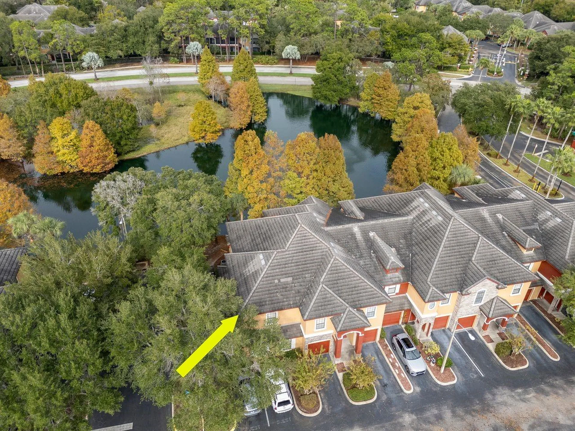 2217 Tuscany Trace Palm Harbor FL 34683
