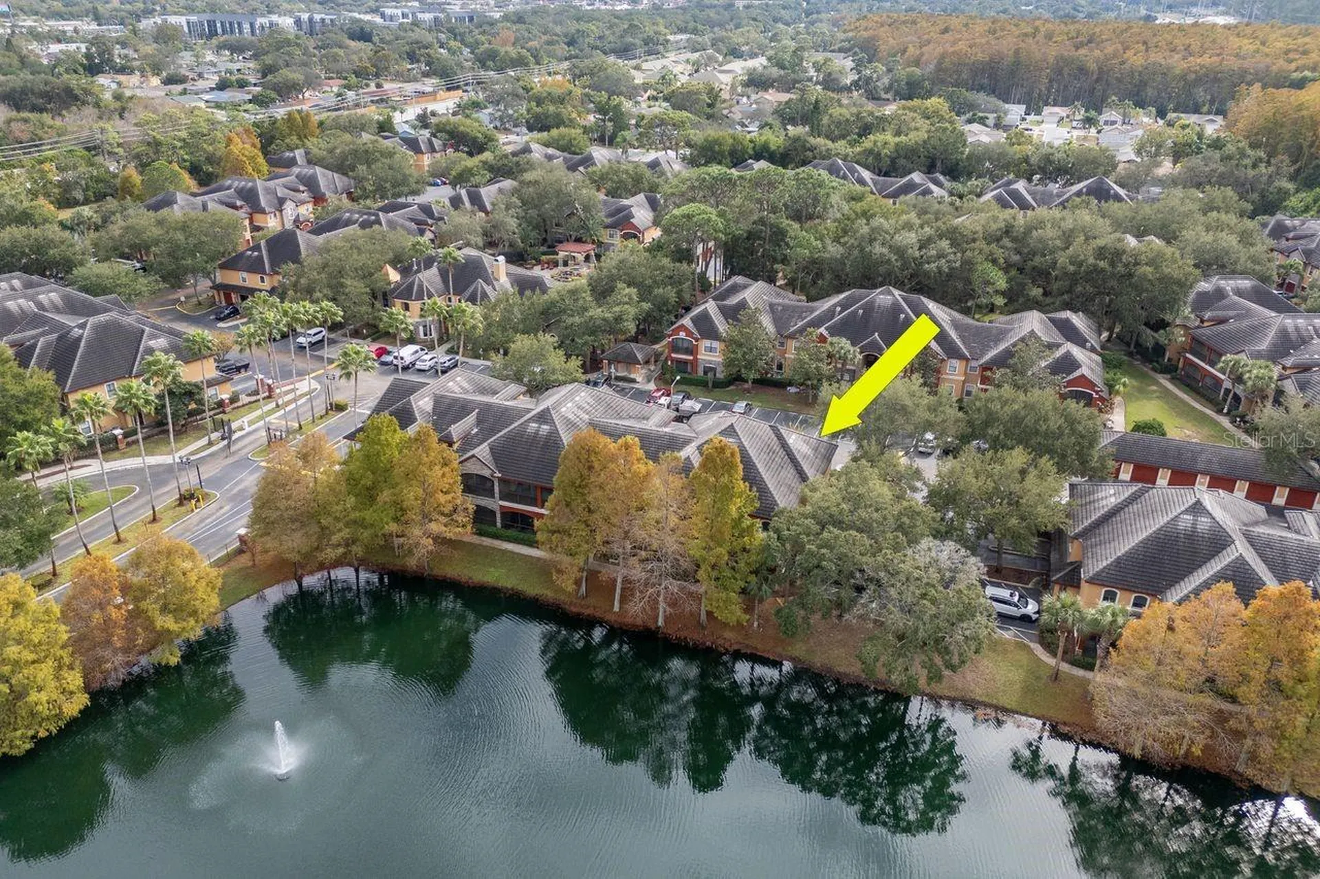 2217 Tuscany Trace Palm Harbor FL 34683
