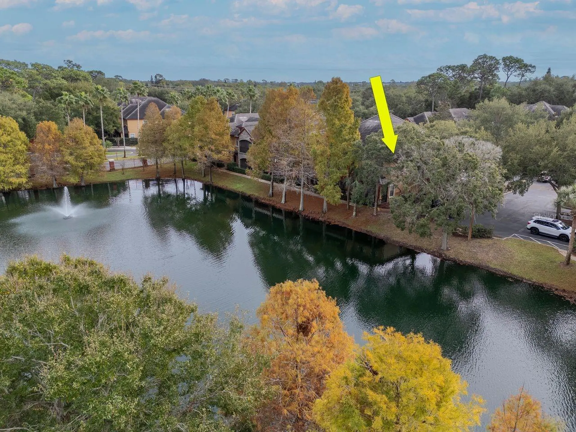 2217 Tuscany Trace Palm Harbor FL 34683