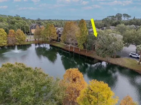 2217 Tuscany Trace Palm Harbor FL 34683