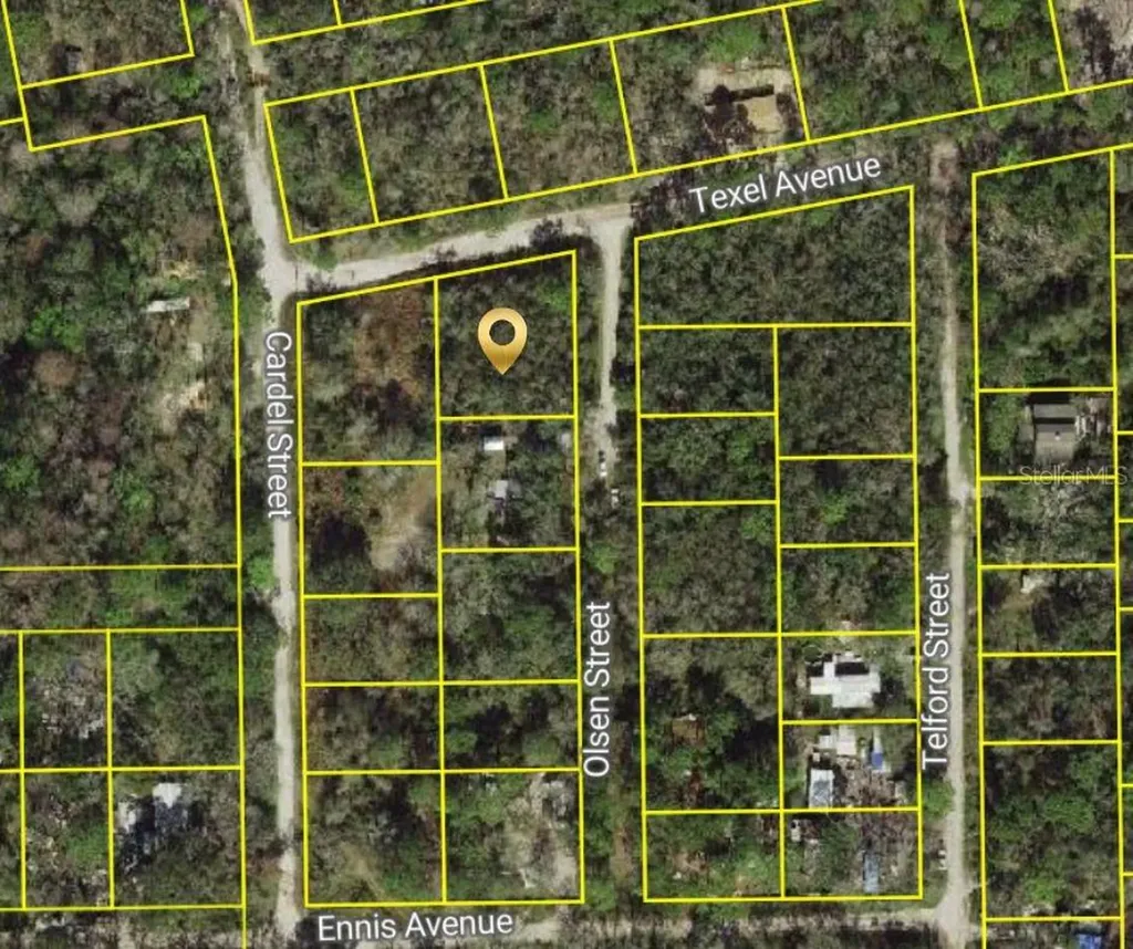 Olsen Street New Port Richey FL 34654