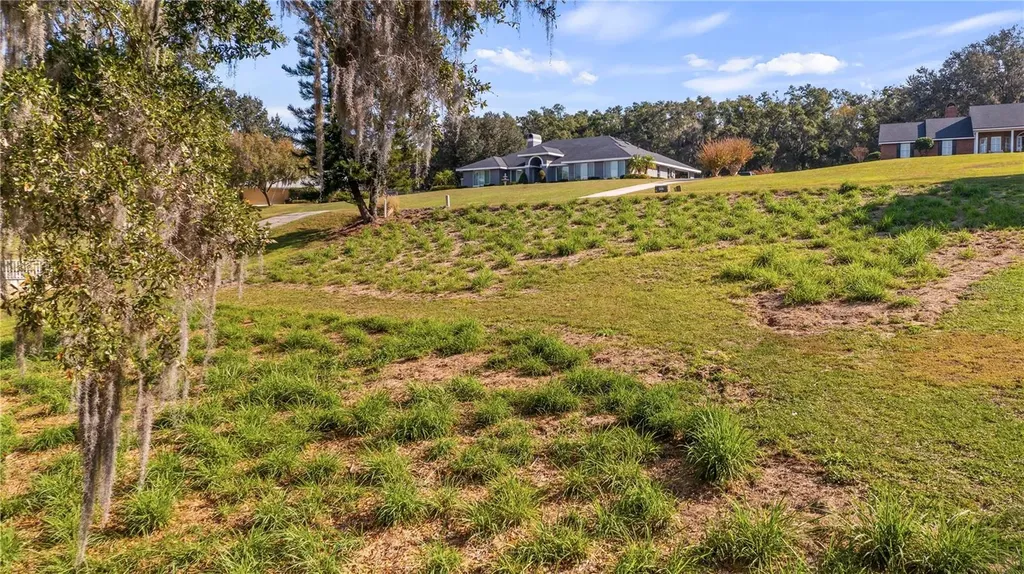 Lake Swatara Drive Eustis FL 32736