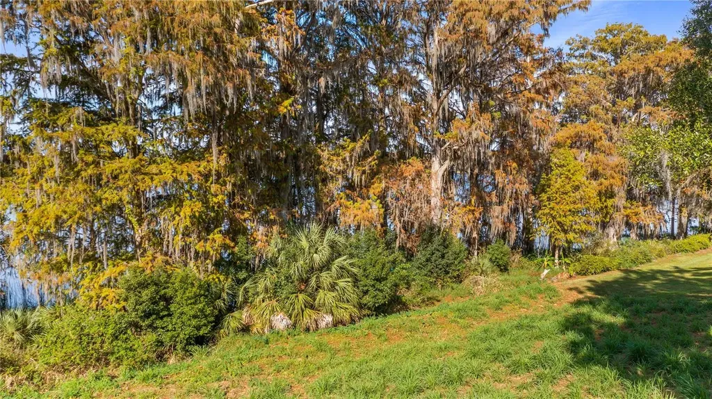Lake Swatara Drive Eustis FL 32736
