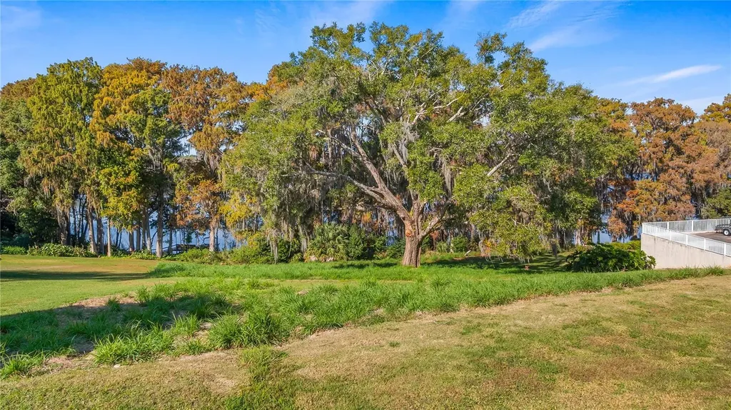 Lake Swatara Drive Eustis FL 32736