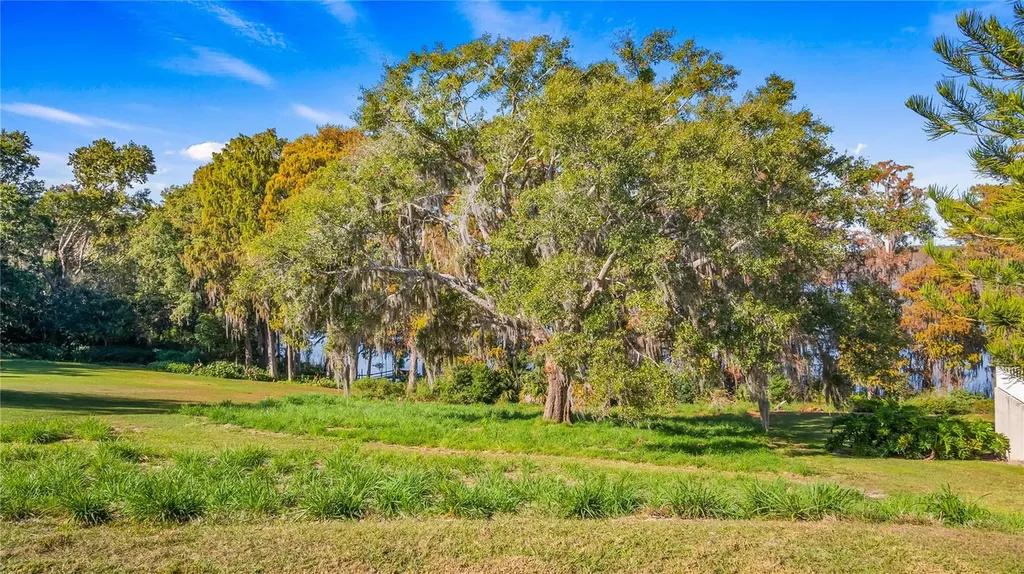 Lake Swatara Drive Eustis FL 32736