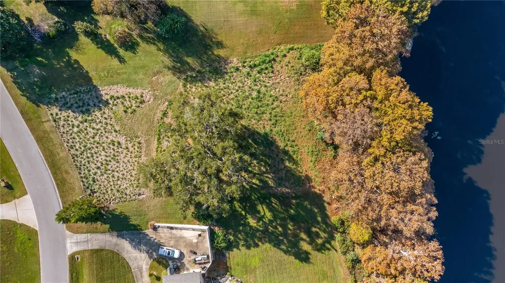 Lake Swatara Drive Eustis FL 32736