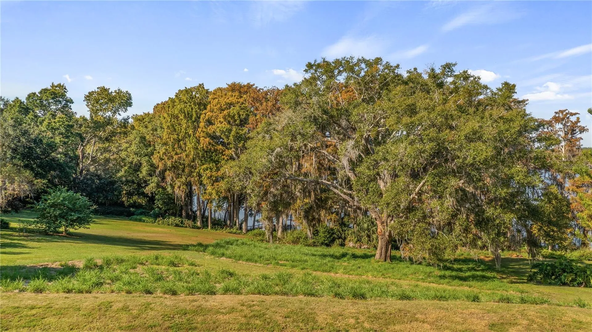 Lake Swatara Drive Eustis FL 32736
