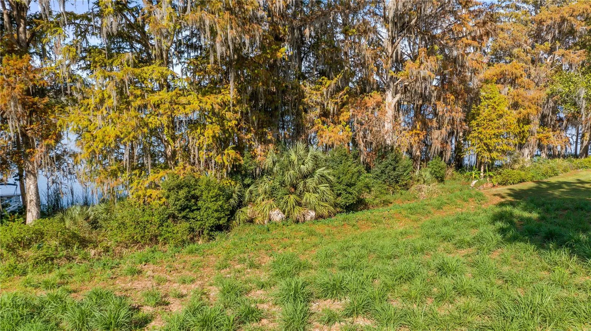 Lake Swatara Drive Eustis FL 32736
