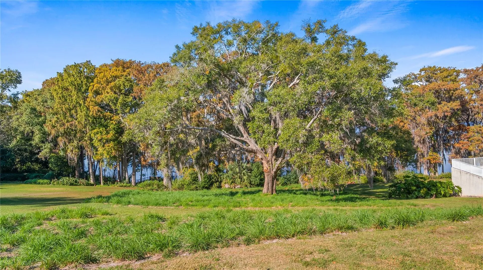 Lake Swatara Drive Eustis FL 32736