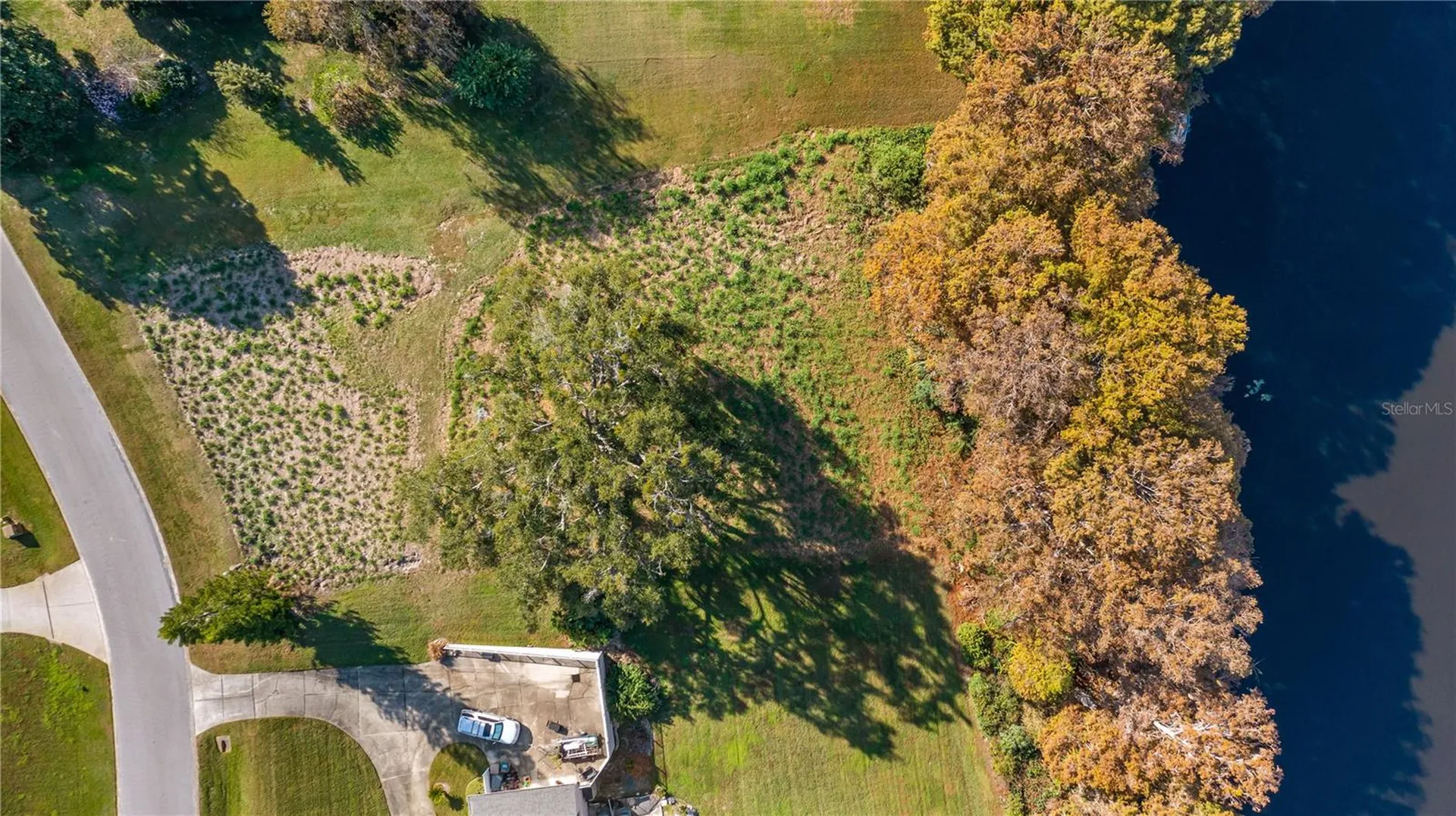 Lake Swatara Drive Eustis FL 32736