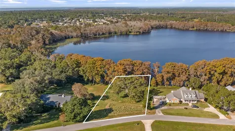 Lake Swatara Drive Eustis FL 32736