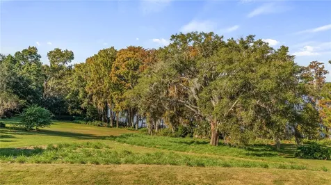 Lake Swatara Drive Eustis FL 32736