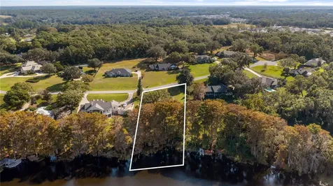 Lake Swatara Drive Eustis FL 32736