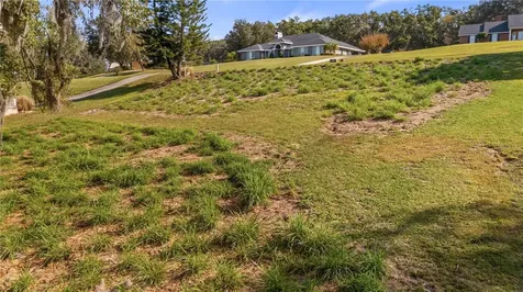 Lake Swatara Drive Eustis FL 32736