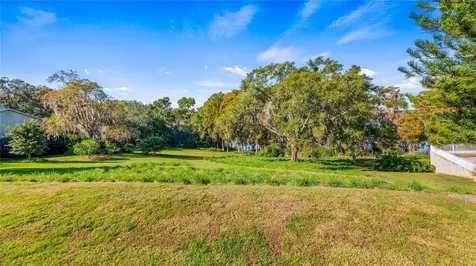 Lake Swatara Drive Eustis FL 32736