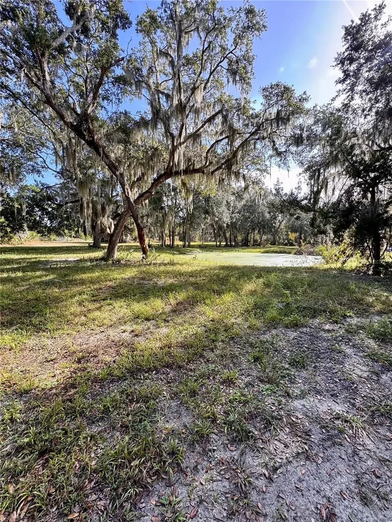 480 Clinton Cemetery Road Edgewater FL 32141