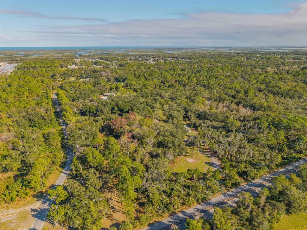 480 Clinton Cemetery Road Edgewater FL 32141