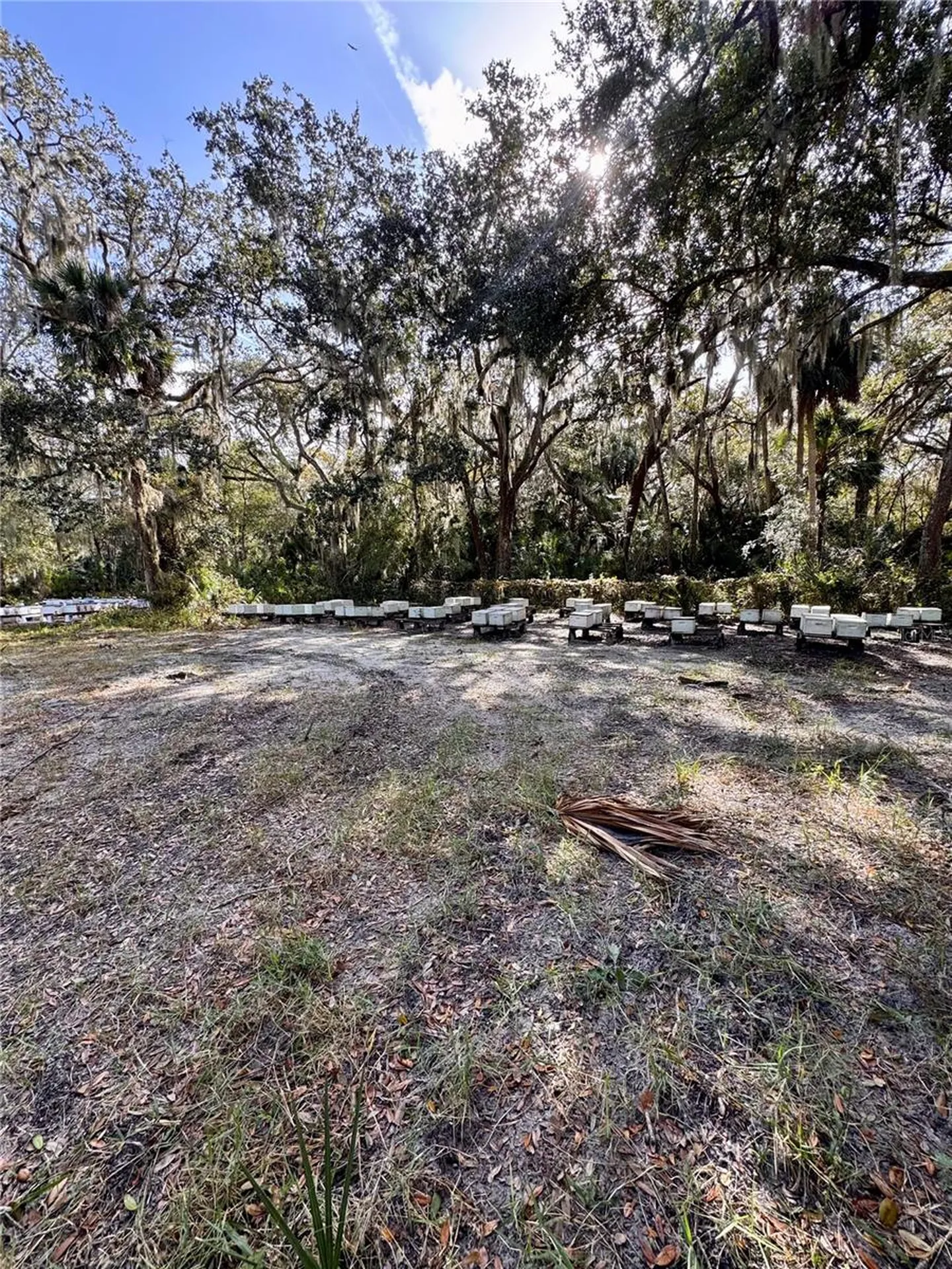 480 Clinton Cemetery Road Edgewater FL 32141