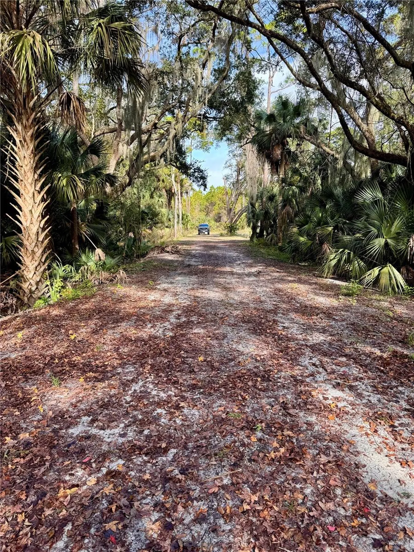 480 Clinton Cemetery Road Edgewater FL 32141