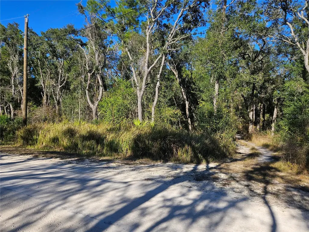 Berryhill Drive Webster FL 33597
