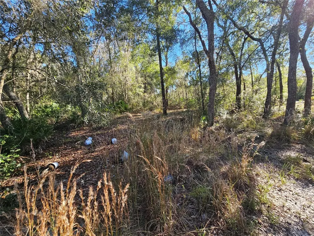 Berryhill Drive Webster FL 33597