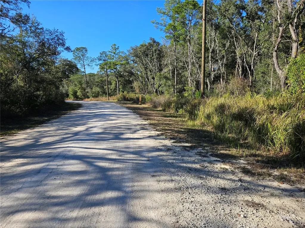 Berryhill Drive Webster FL 33597