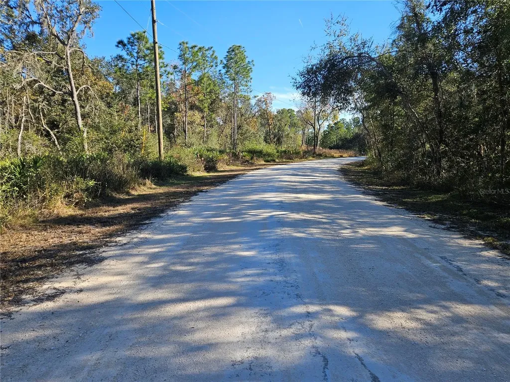 Berryhill Drive Webster FL 33597