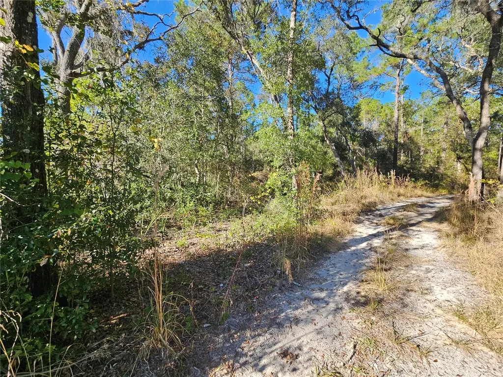 Berryhill Drive Webster FL 33597