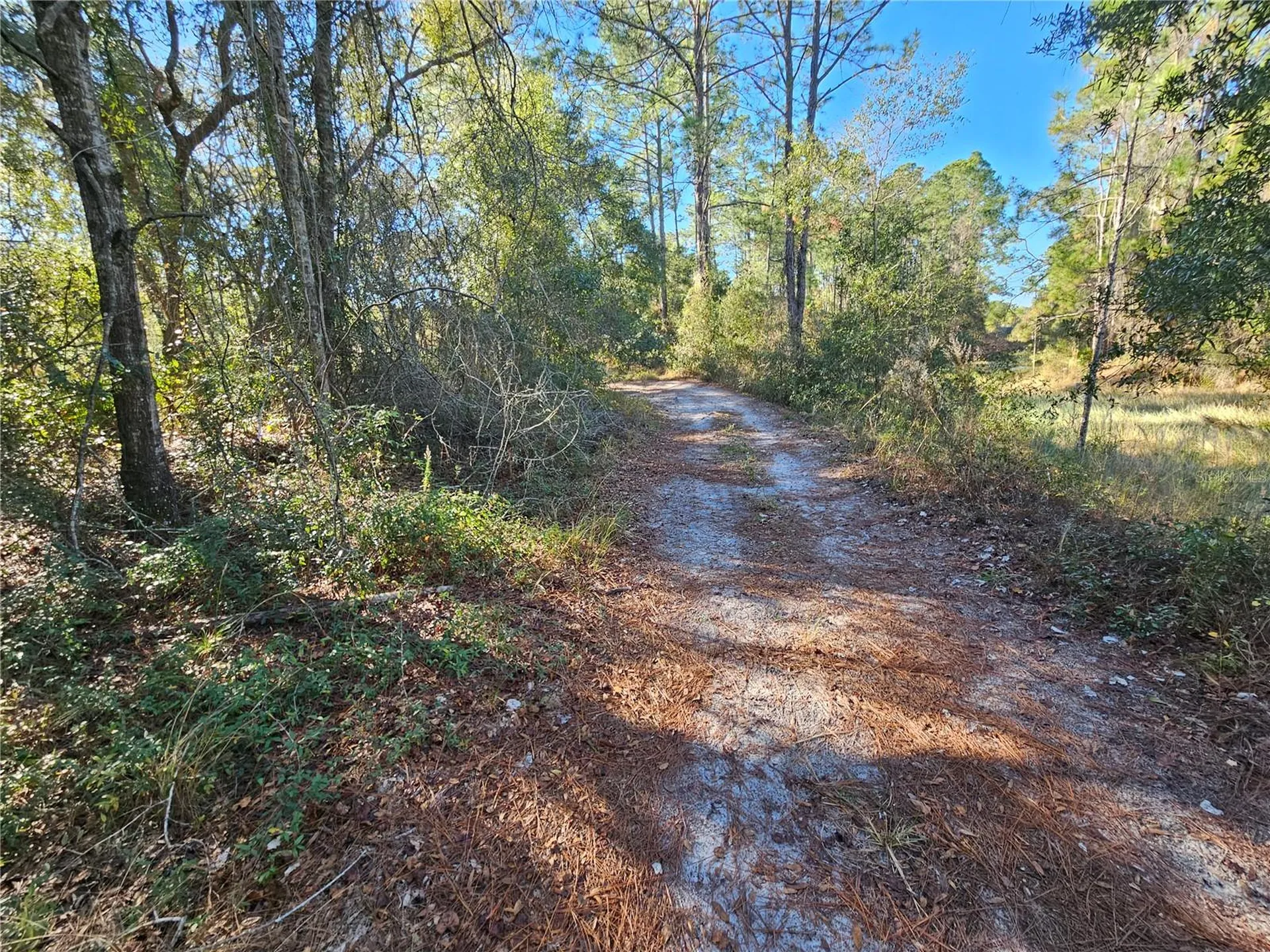 Berryhill Drive Webster FL 33597