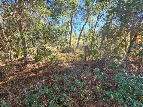 Berryhill Drive Webster FL 33597