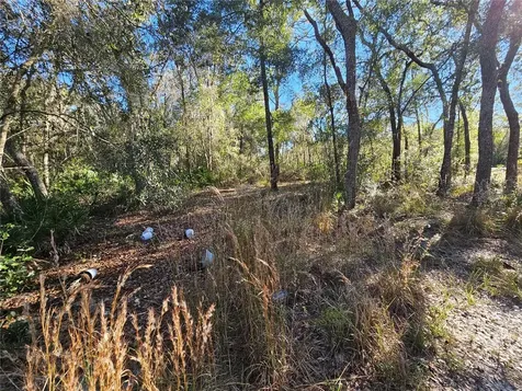 Berryhill Drive Webster FL 33597