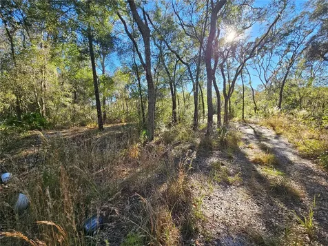 Berryhill Drive Webster FL 33597