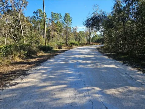 Berryhill Drive Webster FL 33597
